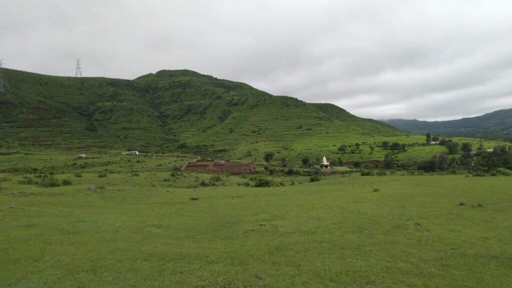 NH4 highway